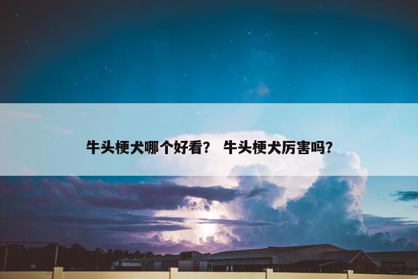 牛头梗犬哪个好看？ 牛头梗犬厉害吗？