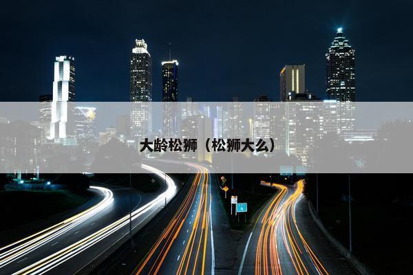 大龄松狮（松狮大么）