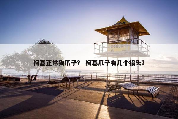 柯基正常狗爪子？ 柯基爪子有几个指头？