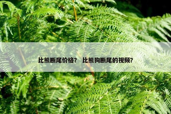 比熊断尾价格？ 比熊狗断尾的视频？