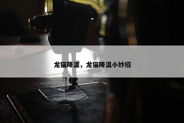 龙猫降温，龙猫降温小妙招
