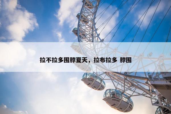 拉不拉多围脖夏天，拉布拉多 脖围