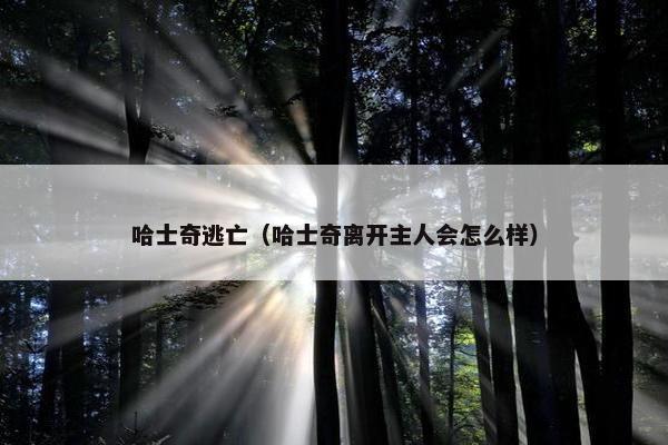 哈士奇逃亡（哈士奇离开主人会怎么样）