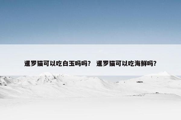暹罗猫可以吃白玉吗吗？ 暹罗猫可以吃海鲜吗？