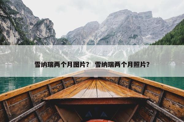 雪纳瑞两个月图片？ 雪纳瑞两个月照片？