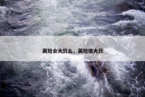 英短会大只么，英短很大只