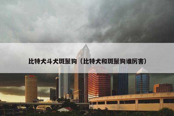 比特犬斗犬斑鬣狗（比特犬和斑鬣狗谁厉害）