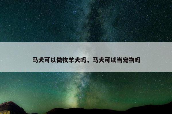 马犬可以做牧羊犬吗，马犬可以当宠物吗