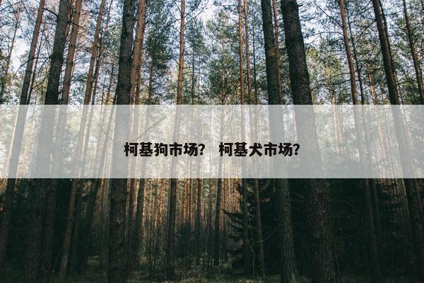 柯基狗市场？ 柯基犬市场？