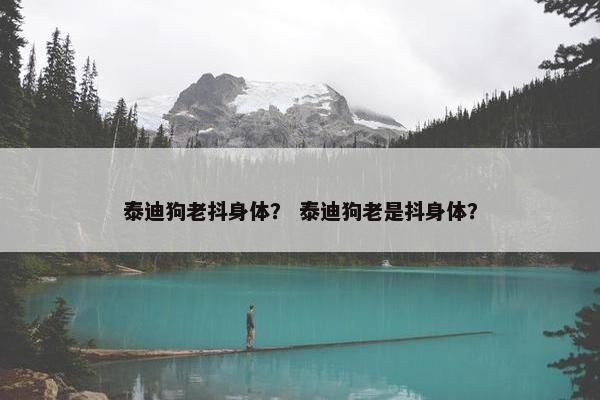 泰迪狗老抖身体？ 泰迪狗老是抖身体？