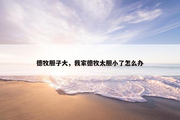 德牧胆子大，我家德牧太胆小了怎么办