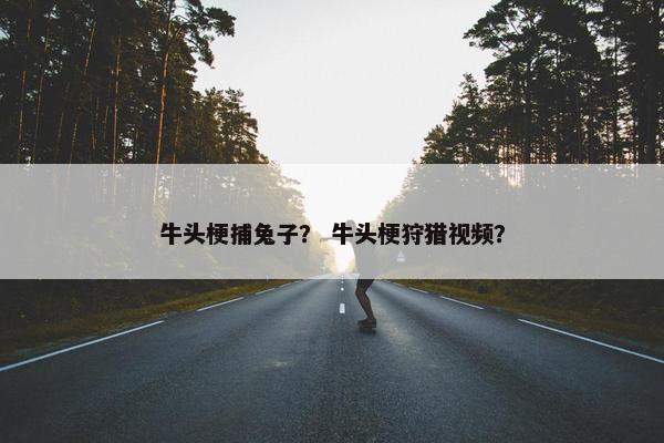 牛头梗捕兔子？ 牛头梗狩猎视频？
