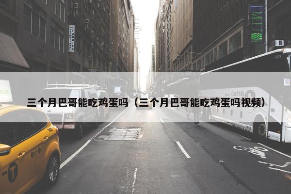 三个月巴哥能吃鸡蛋吗（三个月巴哥能吃鸡蛋吗视频）