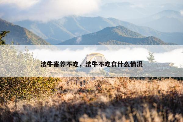 法牛寄养不吃，法牛不吃食什么情况