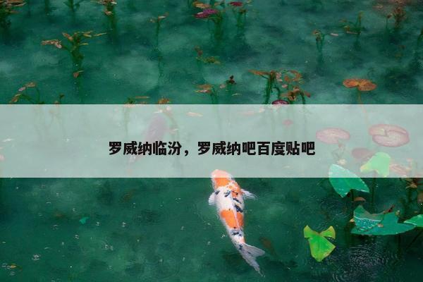 罗威纳临汾，罗威纳吧百度贴吧