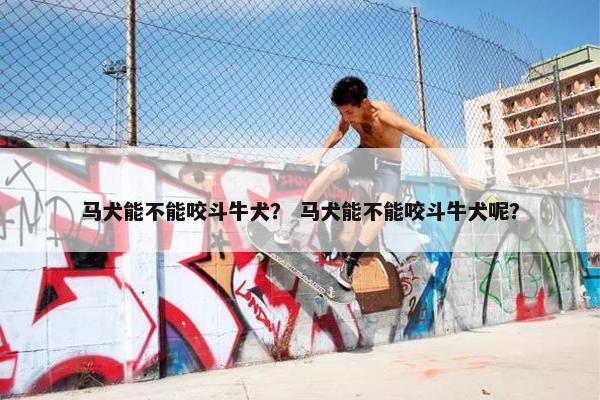 马犬能不能咬斗牛犬？ 马犬能不能咬斗牛犬呢？
