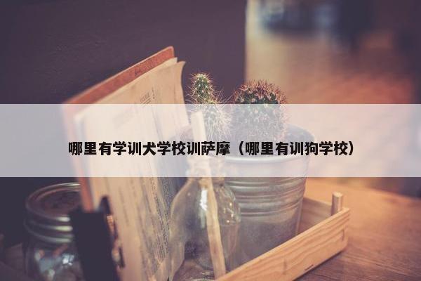 哪里有学训犬学校训萨摩（哪里有训狗学校）