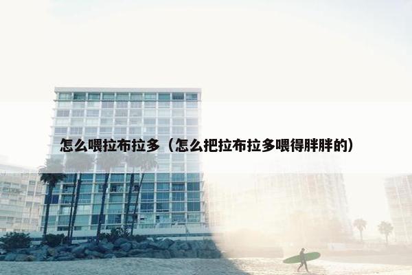 怎么喂拉布拉多（怎么把拉布拉多喂得胖胖的）