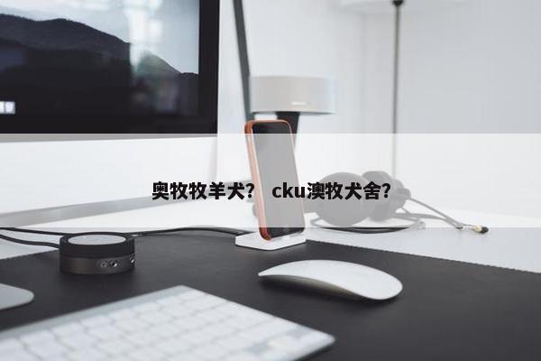 奥牧牧羊犬？ cku澳牧犬舍？