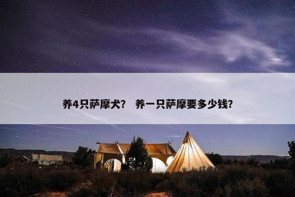养4只萨摩犬？ 养一只萨摩要多少钱？