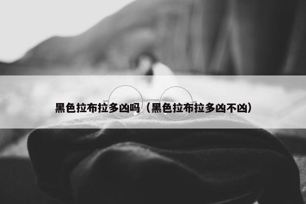 黑色拉布拉多凶吗（黑色拉布拉多凶不凶）