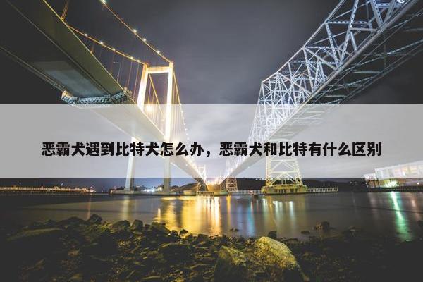恶霸犬遇到比特犬怎么办，恶霸犬和比特有什么区别