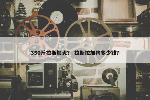 350斤拉斯加犬？ 拉斯拉加狗多少钱？