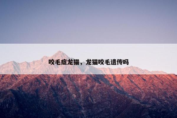 咬毛症龙猫，龙猫咬毛遗传吗