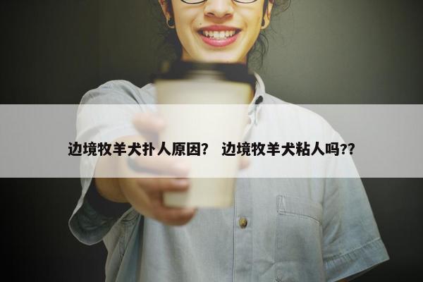 边境牧羊犬扑人原因？ 边境牧羊犬粘人吗?？