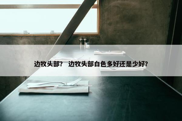 边牧头部？ 边牧头部白色多好还是少好？