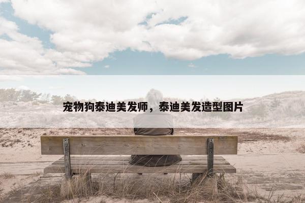 宠物狗泰迪美发师，泰迪美发造型图片