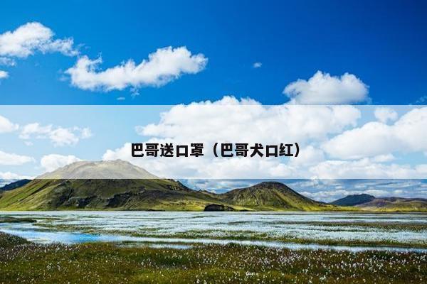 巴哥送口罩（巴哥犬口红）