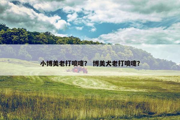 小博美老打喷嚏？ 博美犬老打喷嚏？