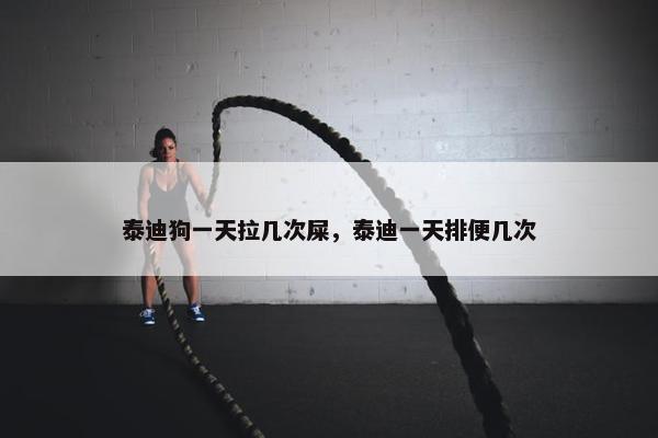 泰迪狗一天拉几次屎，泰迪一天排便几次