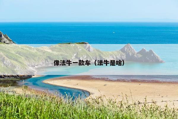 像法牛一款车（法牛是啥）