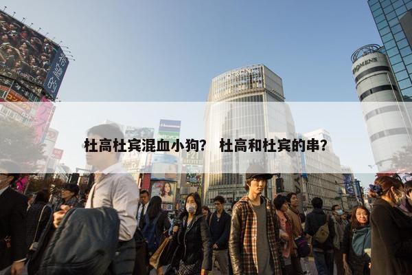 杜高杜宾混血小狗？ 杜高和杜宾的串？
