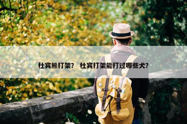 杜宾熊打架？ 杜宾打架能打过哪些犬？