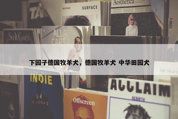 下园子德国牧羊犬，德国牧羊犬 中华田园犬