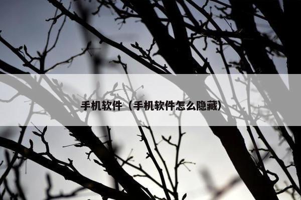 手机软件（手机软件怎么隐藏）