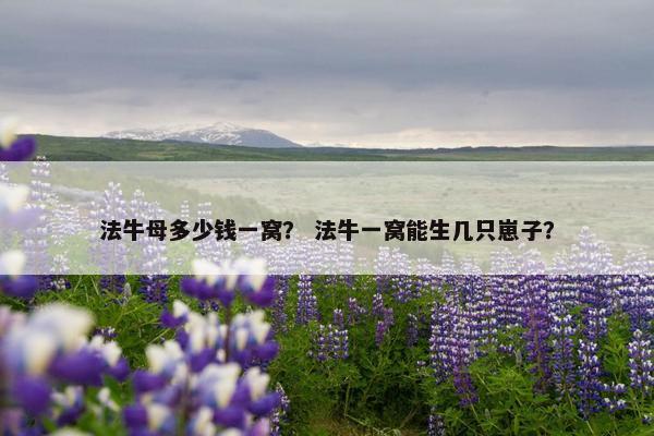法牛母多少钱一窝？ 法牛一窝能生几只崽子？
