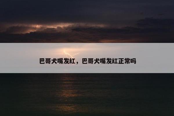 巴哥犬嘴发红，巴哥犬嘴发红正常吗
