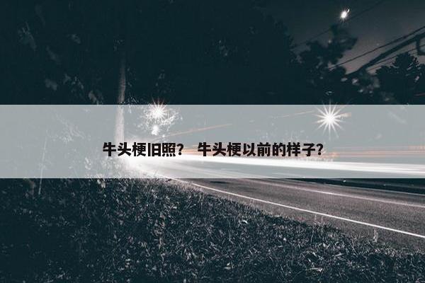 牛头梗旧照？ 牛头梗以前的样子？