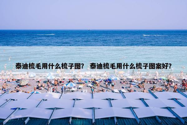 泰迪梳毛用什么梳子图？ 泰迪梳毛用什么梳子图案好？