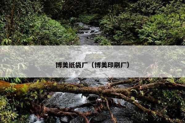 博美纸袋厂（博美印刷厂）