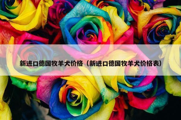 新进口德国牧羊犬价格（新进口德国牧羊犬价格表）