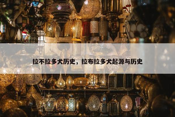 拉不拉多犬历史，拉布拉多犬起源与历史