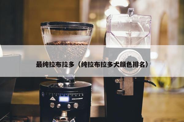 最纯拉布拉多（纯拉布拉多犬颜色排名）