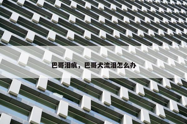 巴哥泪痕，巴哥犬流泪怎么办