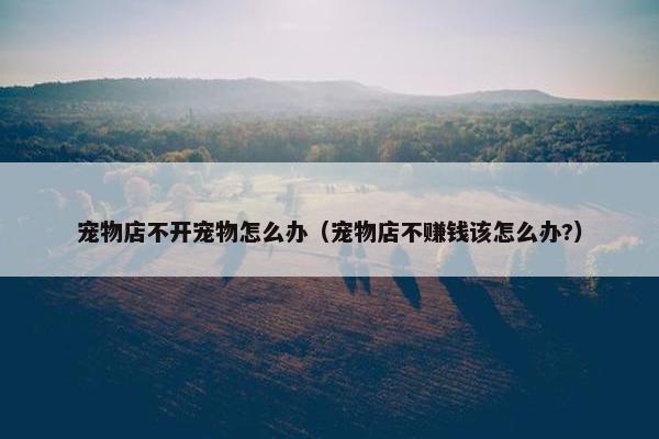 宠物店不开宠物怎么办（宠物店不赚钱该怎么办?）