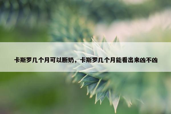 卡斯罗几个月可以断奶，卡斯罗几个月能看出来凶不凶